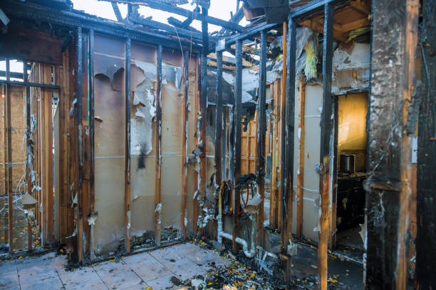 Professional Structural Rebuild technician working in Frederick, MD